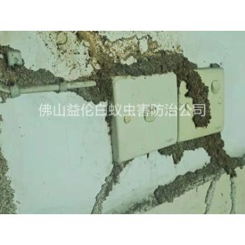 官窑村防治白蚁危害