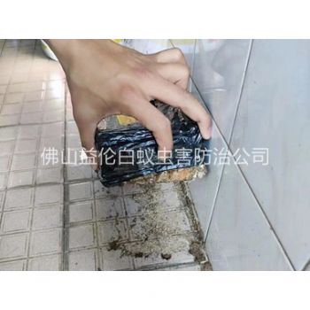 狮山诱杀白蚁危害工程